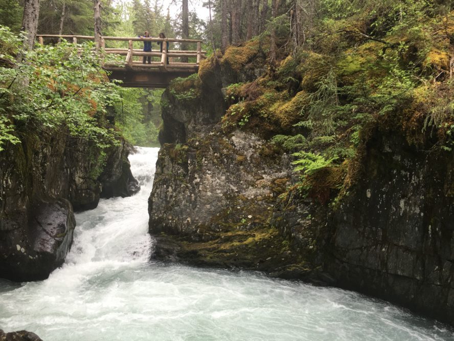 Alaska Hiking Tour; Girdwood, Alaska Hiking; Winner Creek Trail