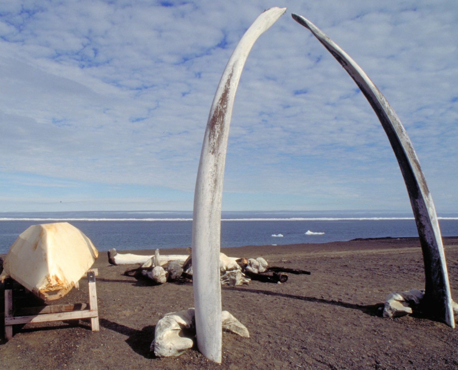 Fairbanks Alaska Day Tour Day Trip To Barrow Arctic Ocean Coldfoot 4417