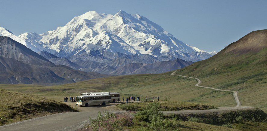 Denali park buses with Denali in the background