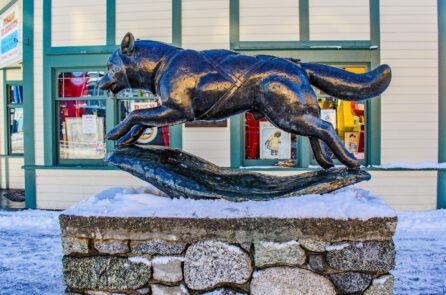 a statue of the sled dog Balto in downtown Anchorage, Alaska