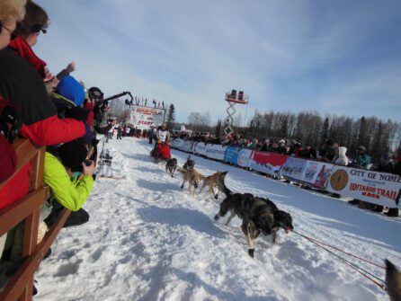 people watching a sled dog team at the start of the Iditarod