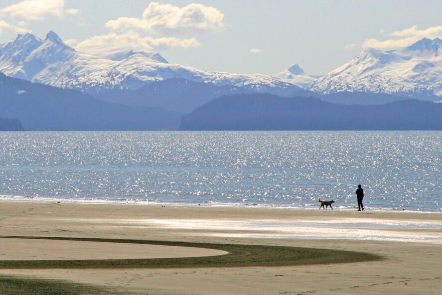 a human and a dog on an empty beach in Homer, Alaska