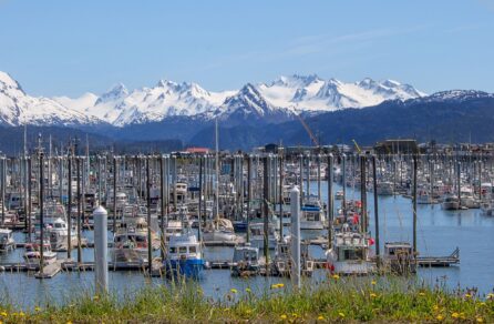 fishing vessels and tour boats in a small boat harbor in Homer, Alaska