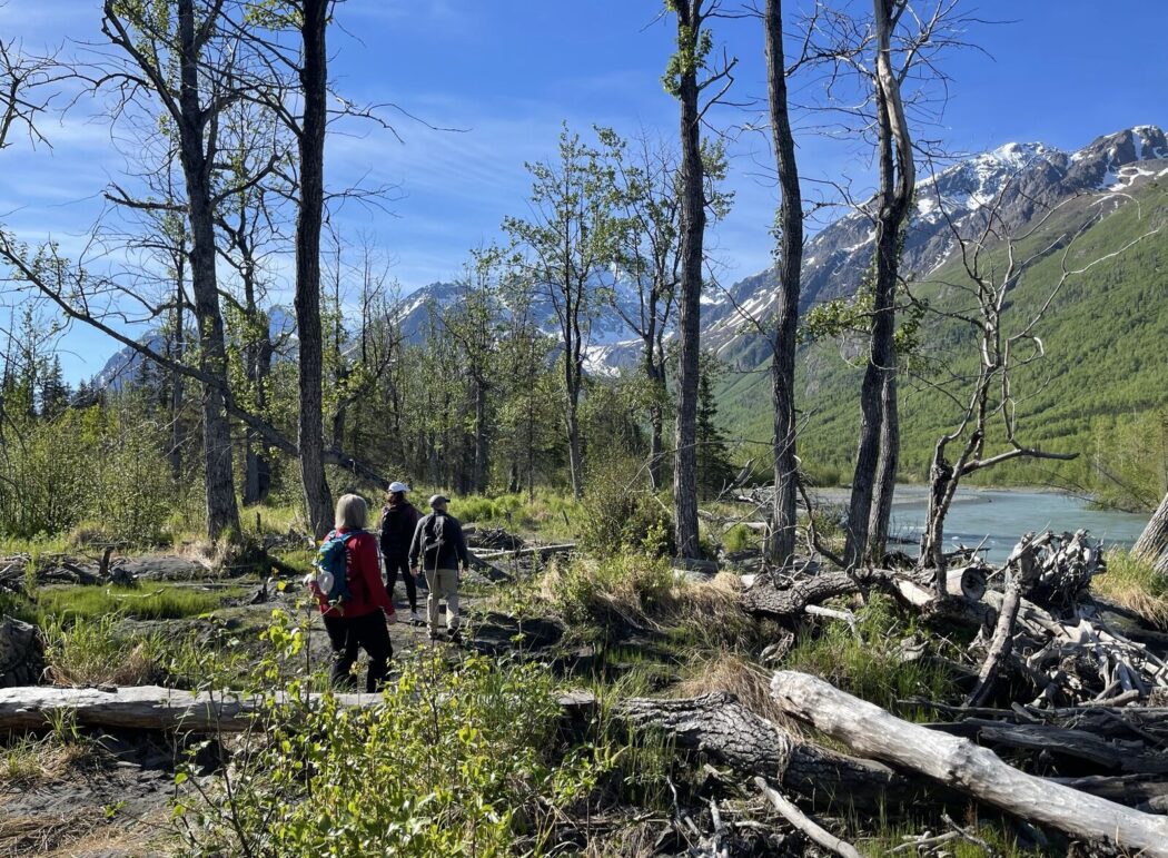 three people hiking in a wooded part of Alaska next to a river and mountains