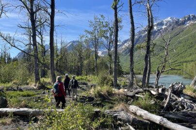 three people hiking in a wooded part of Alaska next to a river and mountains
