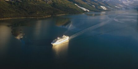 Aerial Of Cruiseship In College Fjord Sc Ak Summer *Dawn Princess*
