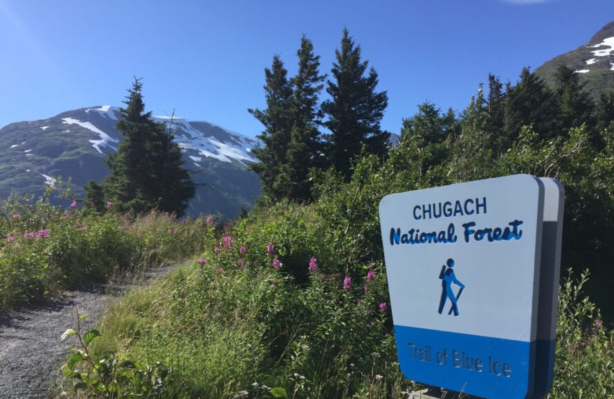 The trail of Blue Ice path connects Portage Lake with many campgrounds, glaciers, and fish viewing spots in Chugach National Forest