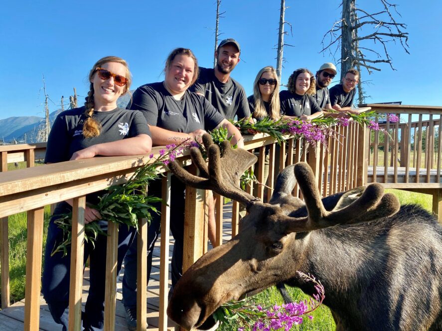 Photo of Staff of AWCC with Arnold the Moose