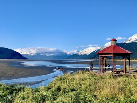 View point from the Alaska Wildlife Conservation Center