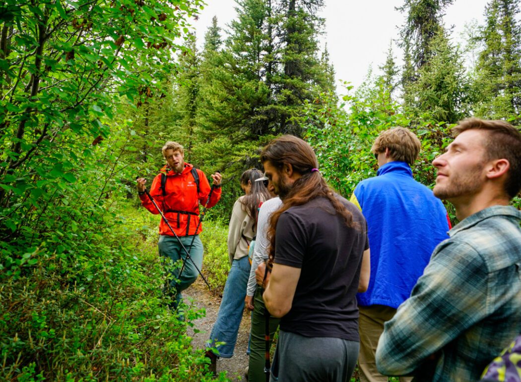 People enjoying a guided hiking tour in Denali.