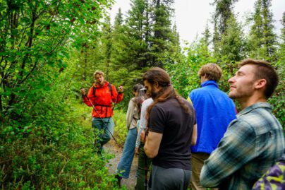 People enjoying a guided hiking tour in Denali.