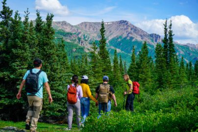 A group of people is hiking off-trail through boreal forest just outside of Denali National Park.