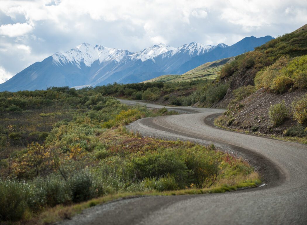 Denali park road