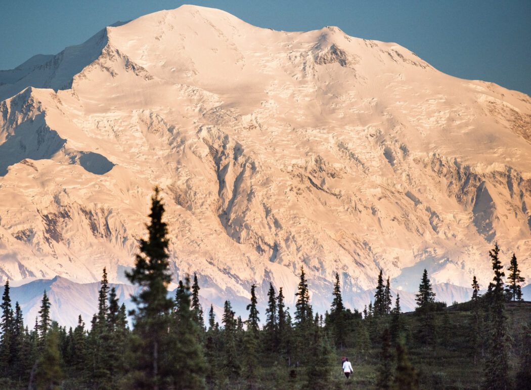 mountain in Denali