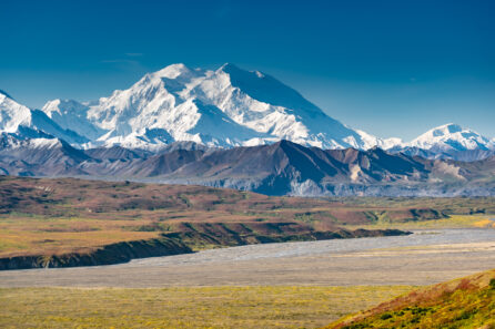 Beautiful landscape in Denali National Park with the mountain in the background.