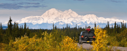 Gorgeous sunny day and view of Denali